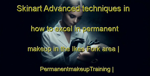 Skinart Advanced techniques in how to excel in permanent makeup in the Ikes Fork area | PermanentmakeupTraining | PermanentmakeupClasses | SkinartTraining-United States